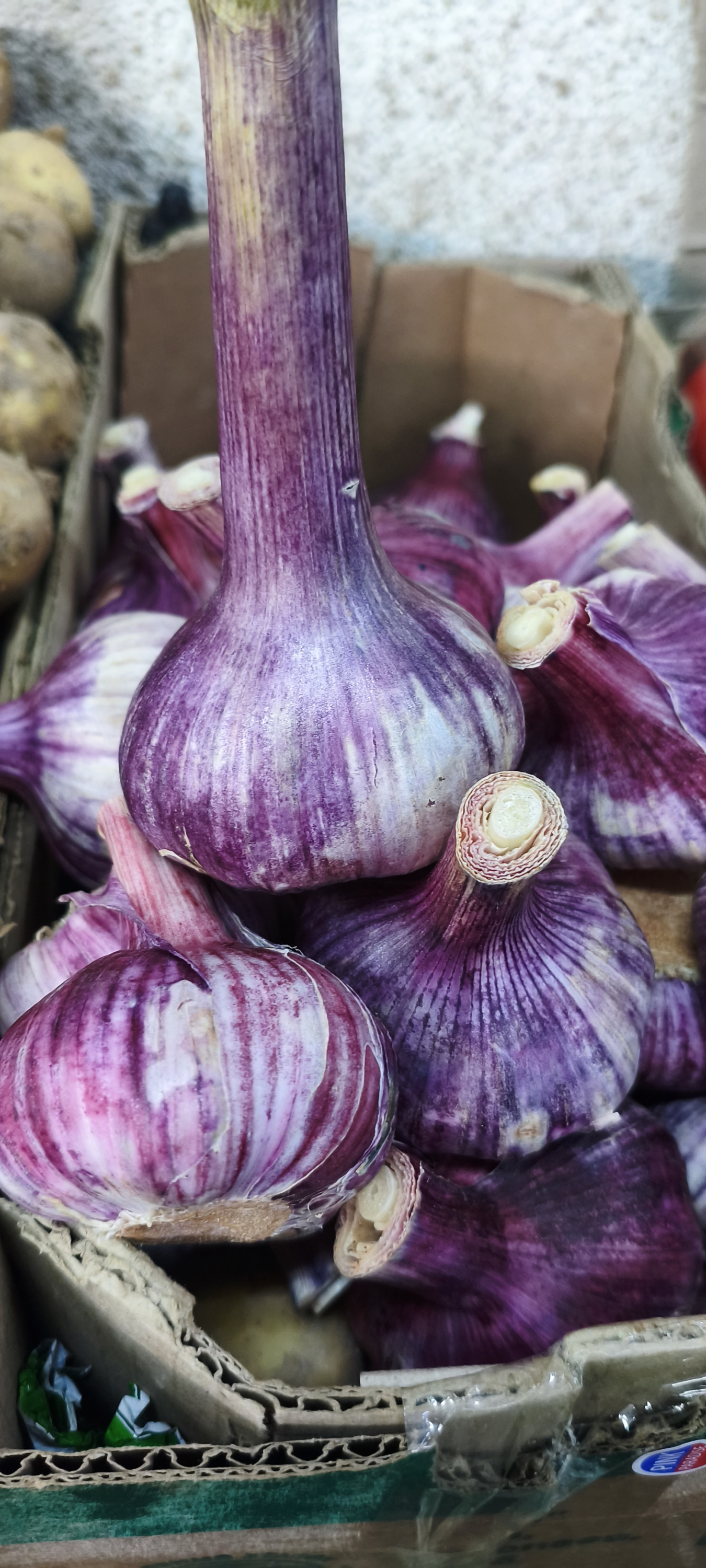 Чеснок молодой. шт