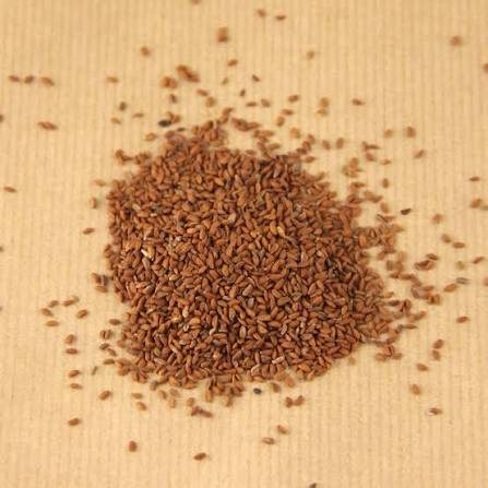 Семена Кресс салата. 100гр