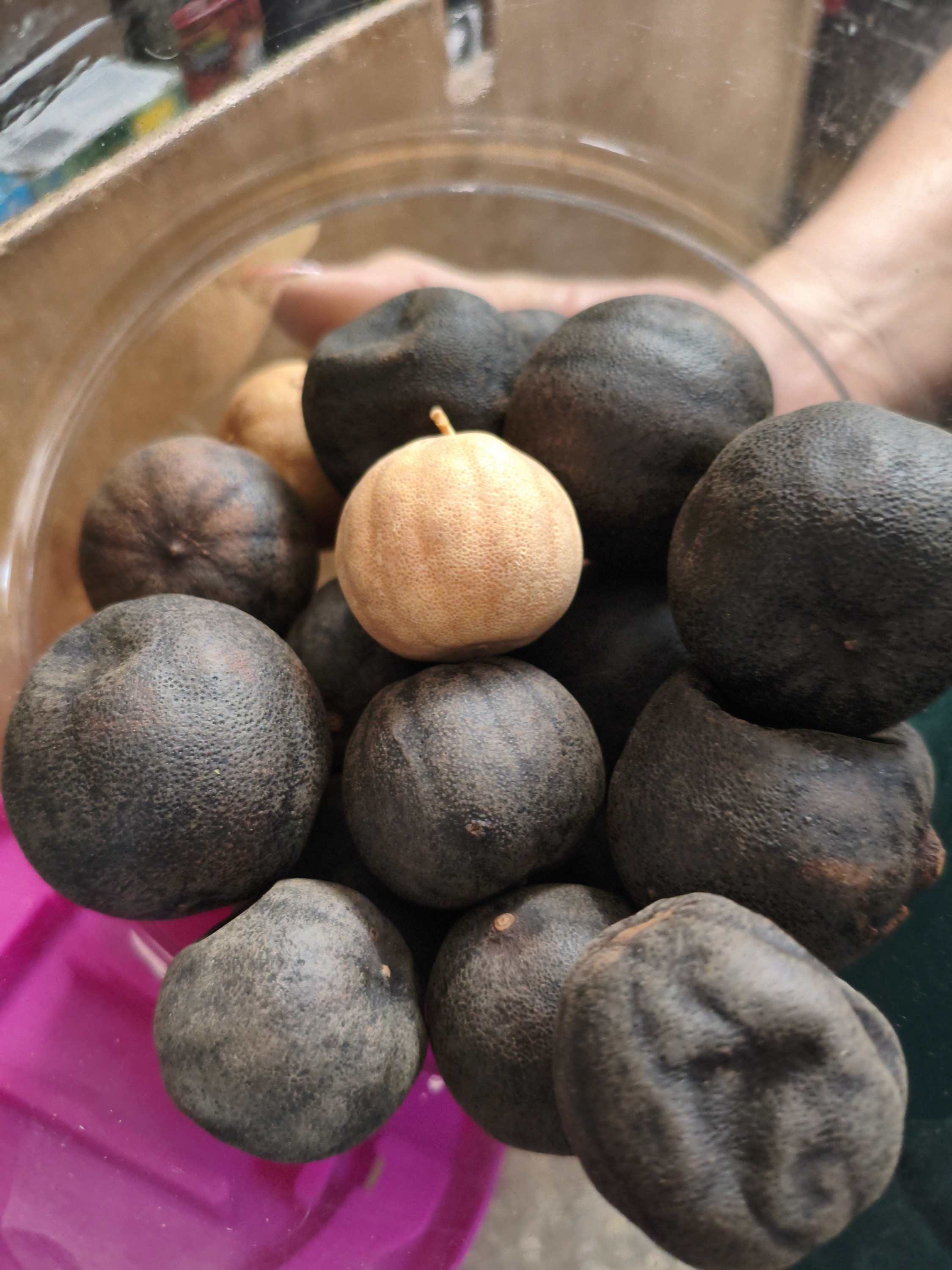 Лимон сушёный. 1шт