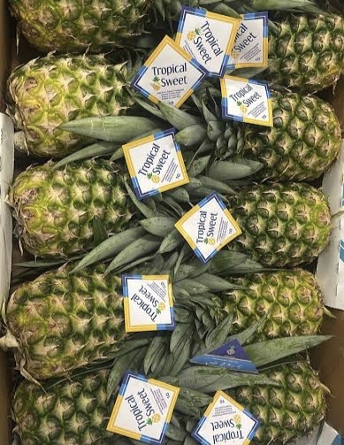 Ананас"Коста Рика"