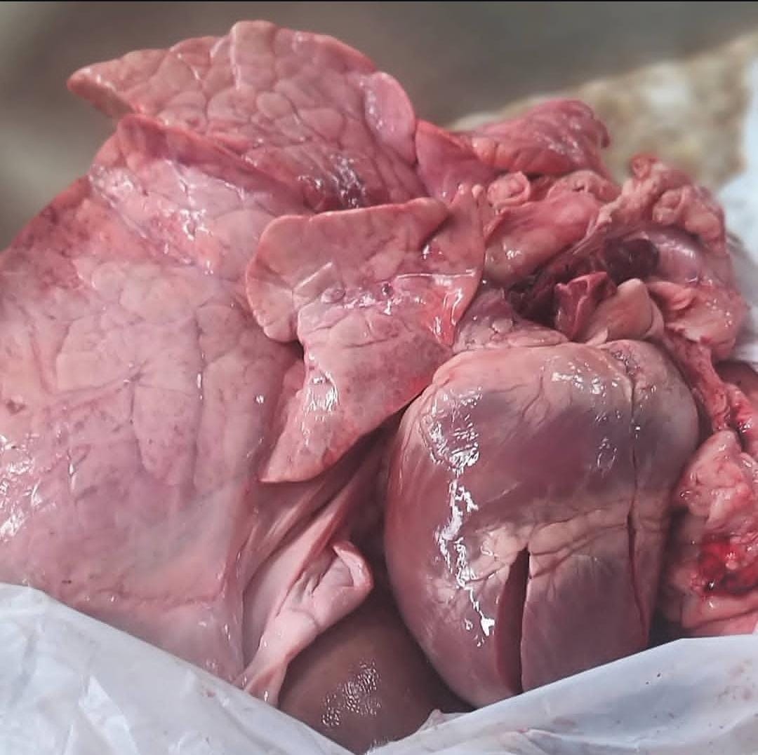 Ливер -сбой свинина