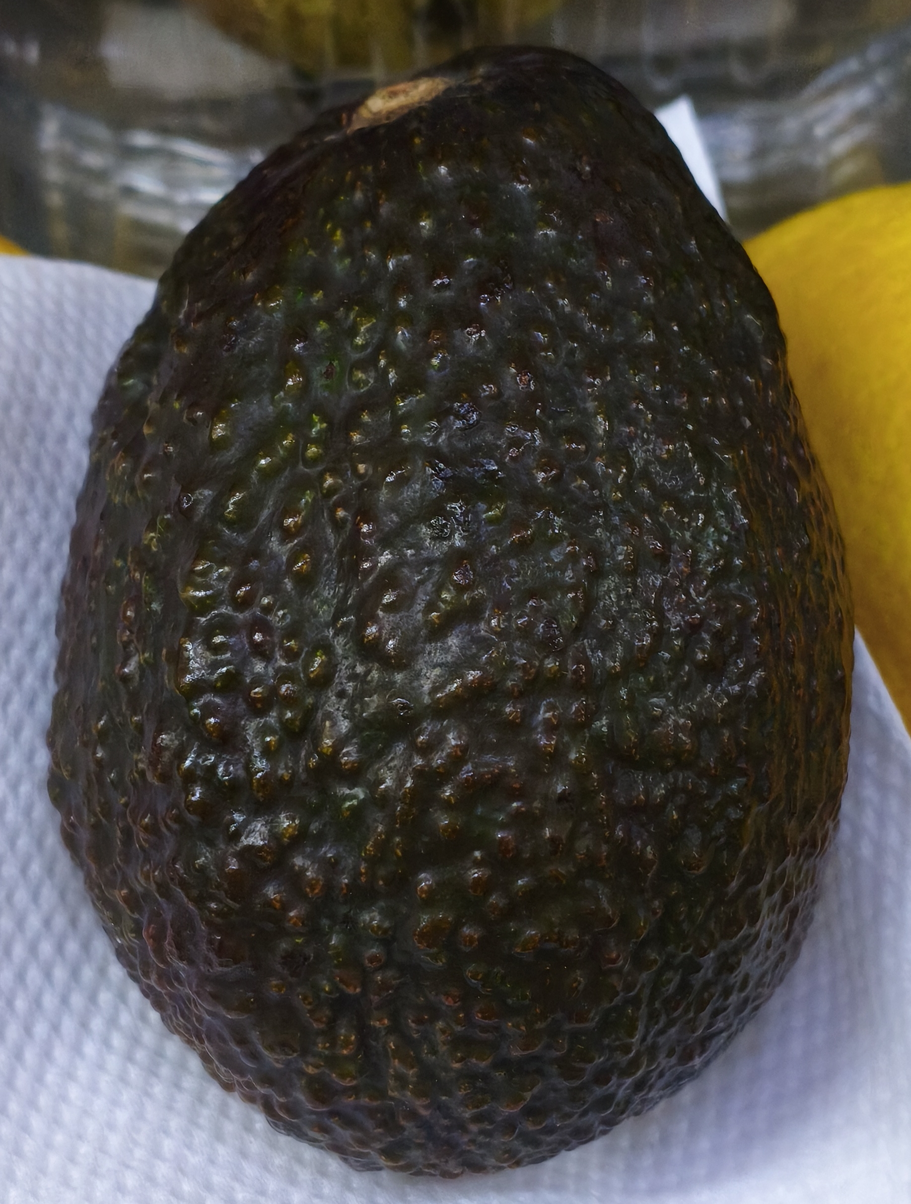 Авокадо коричневый