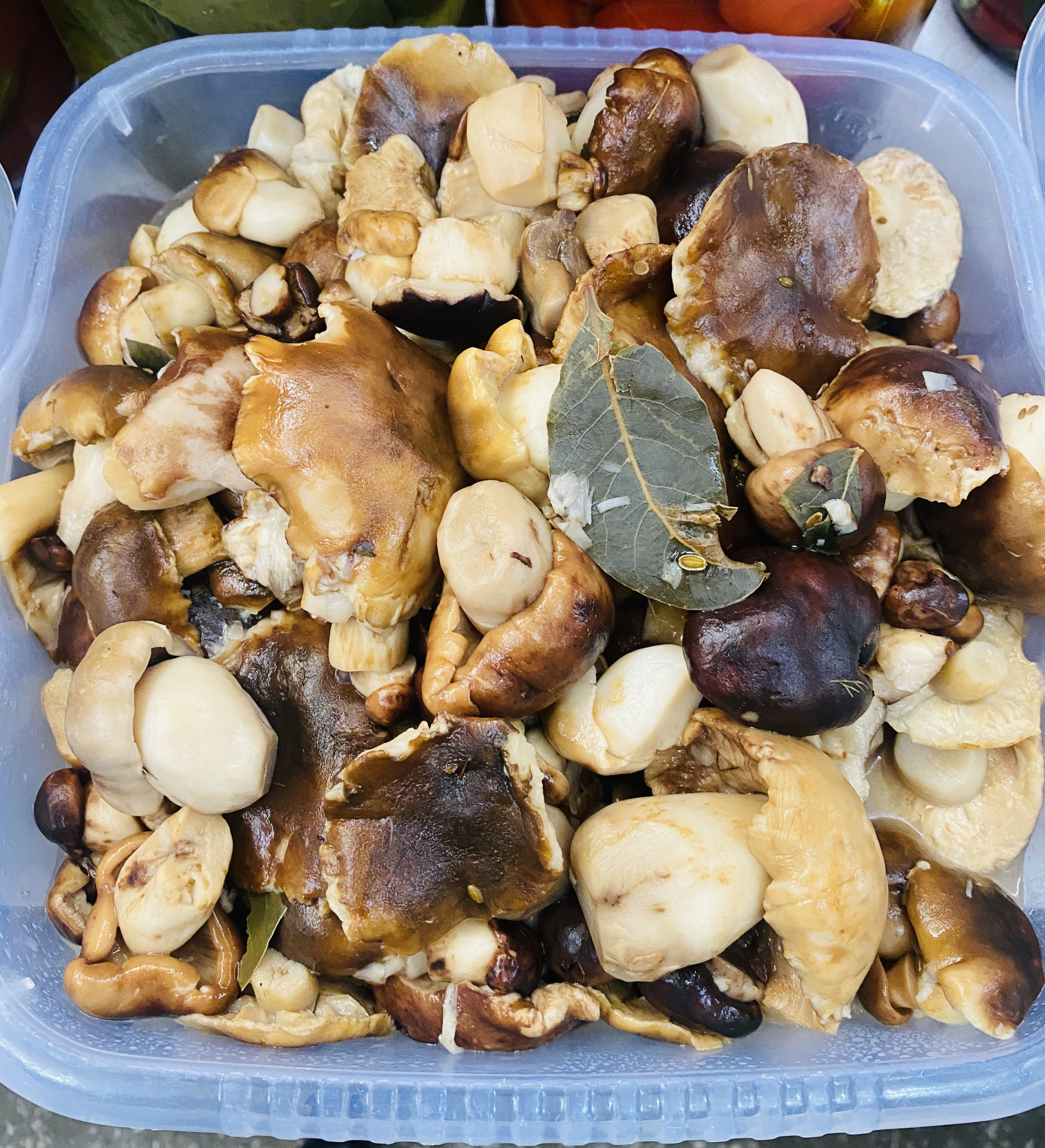 Гриб Боровик (подтопольник). 300гр