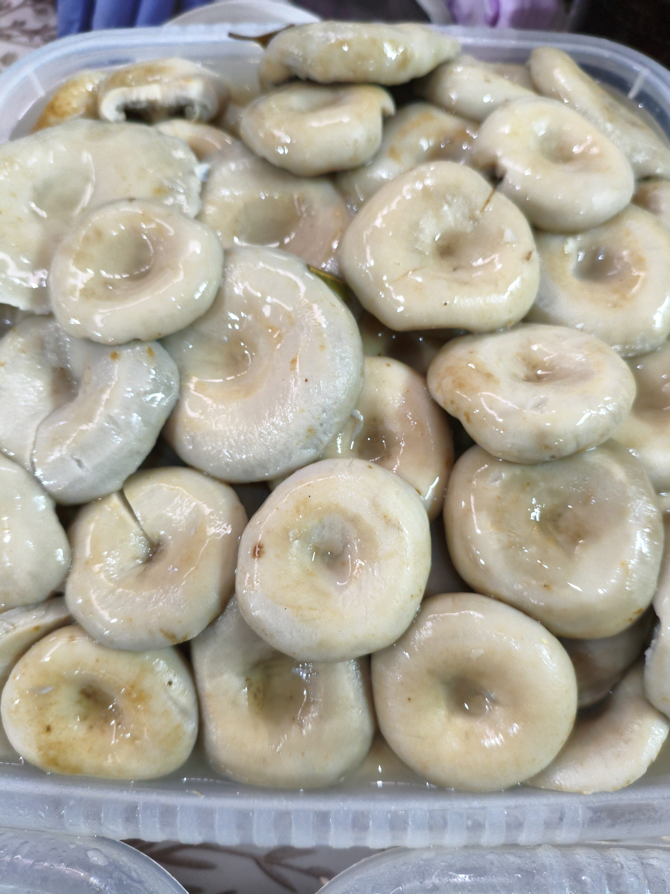 Грибы грузди вес