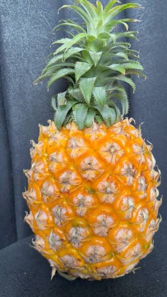 Ананас Китай