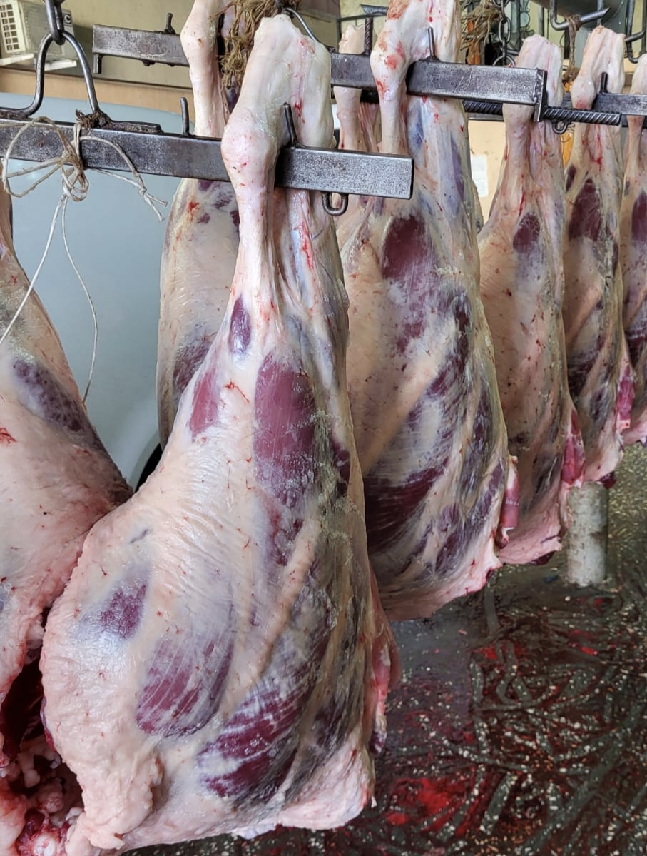 Говяжья Ляшка целиком. Вес ~35-45кг.