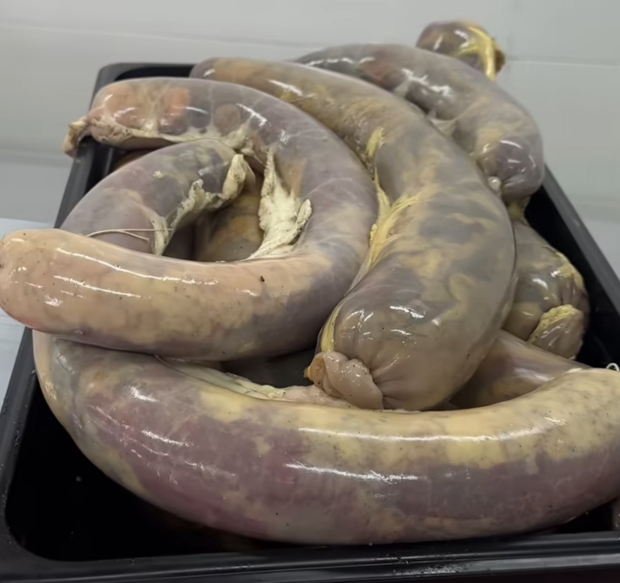 Конина Казы свежие