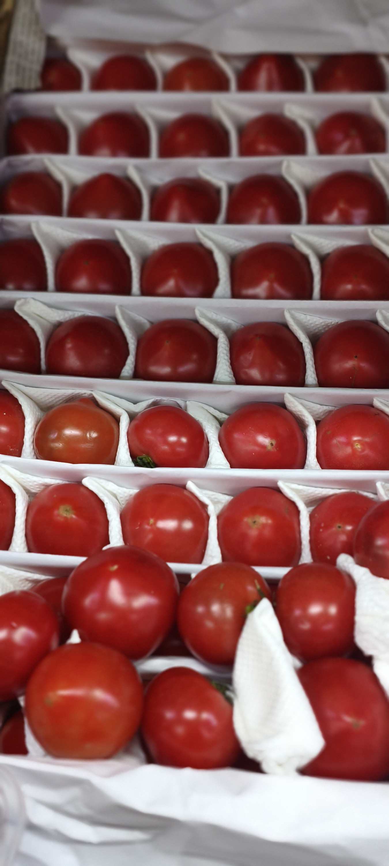 Помидоры бакинские(мелкие) цена указана за 1кг