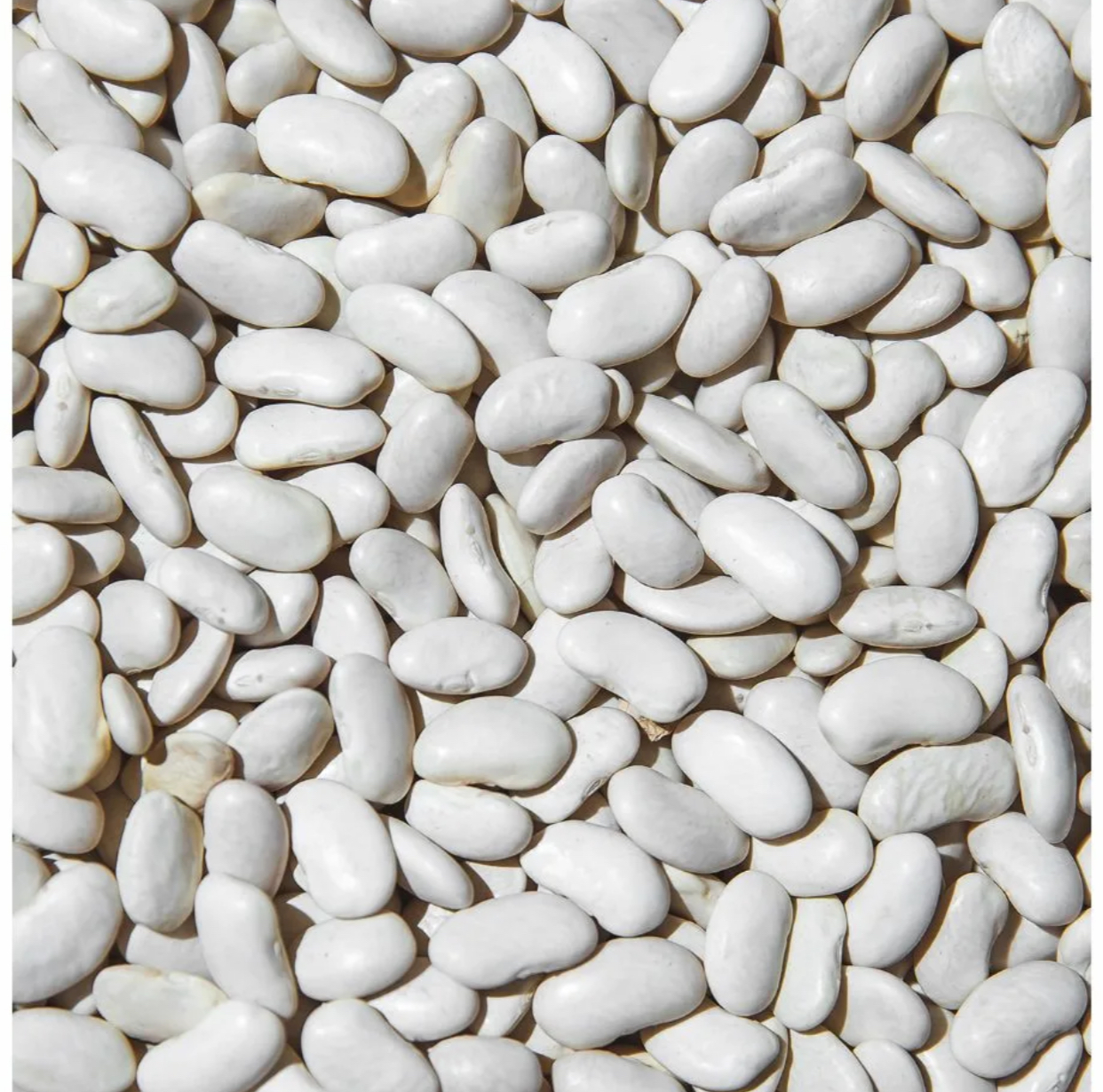 Фасоль белая 1кг Казахстан