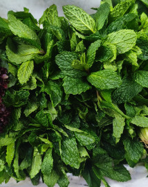 .Мята (пучок)