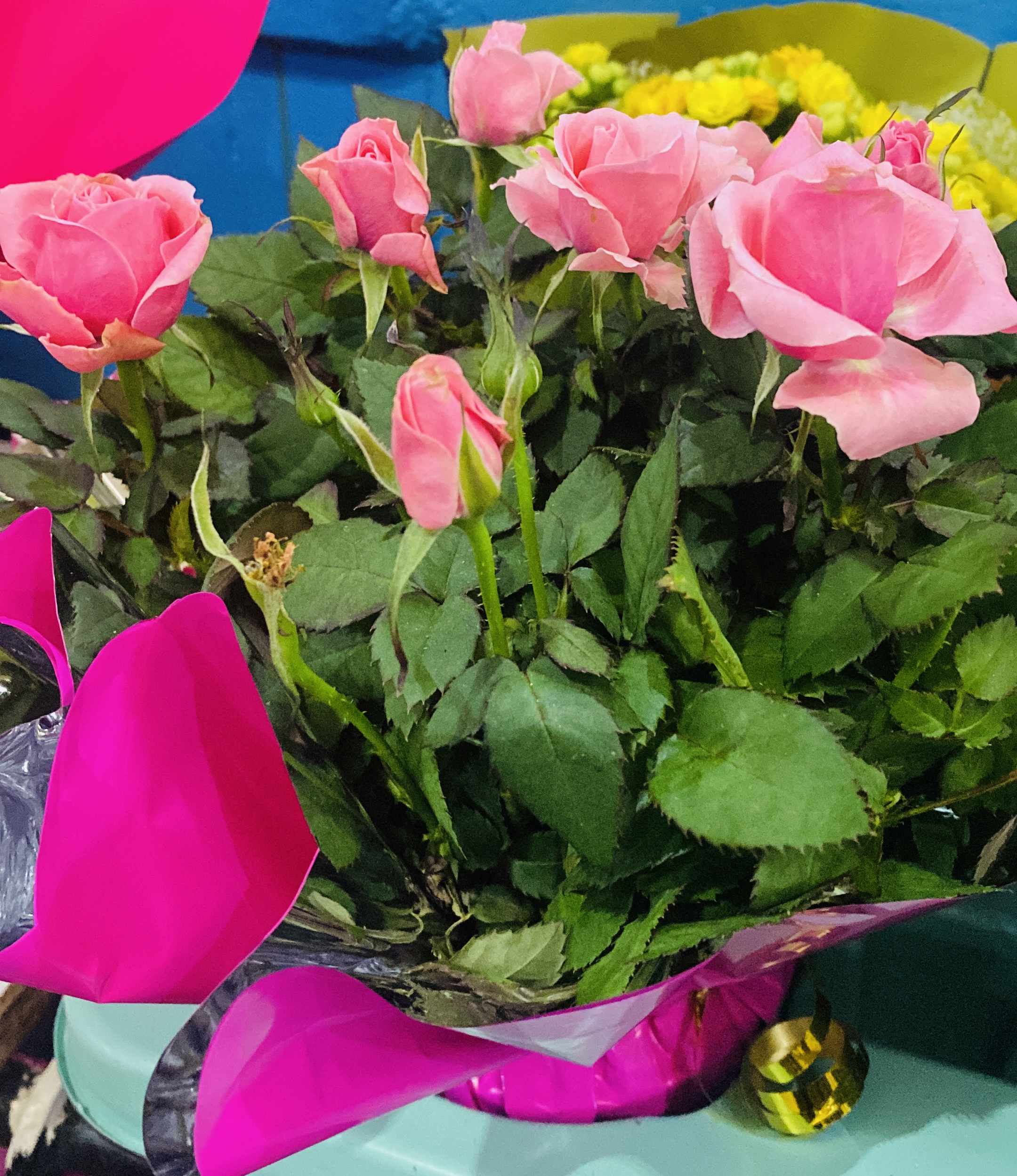 Роза миниатюрная в ассортименте