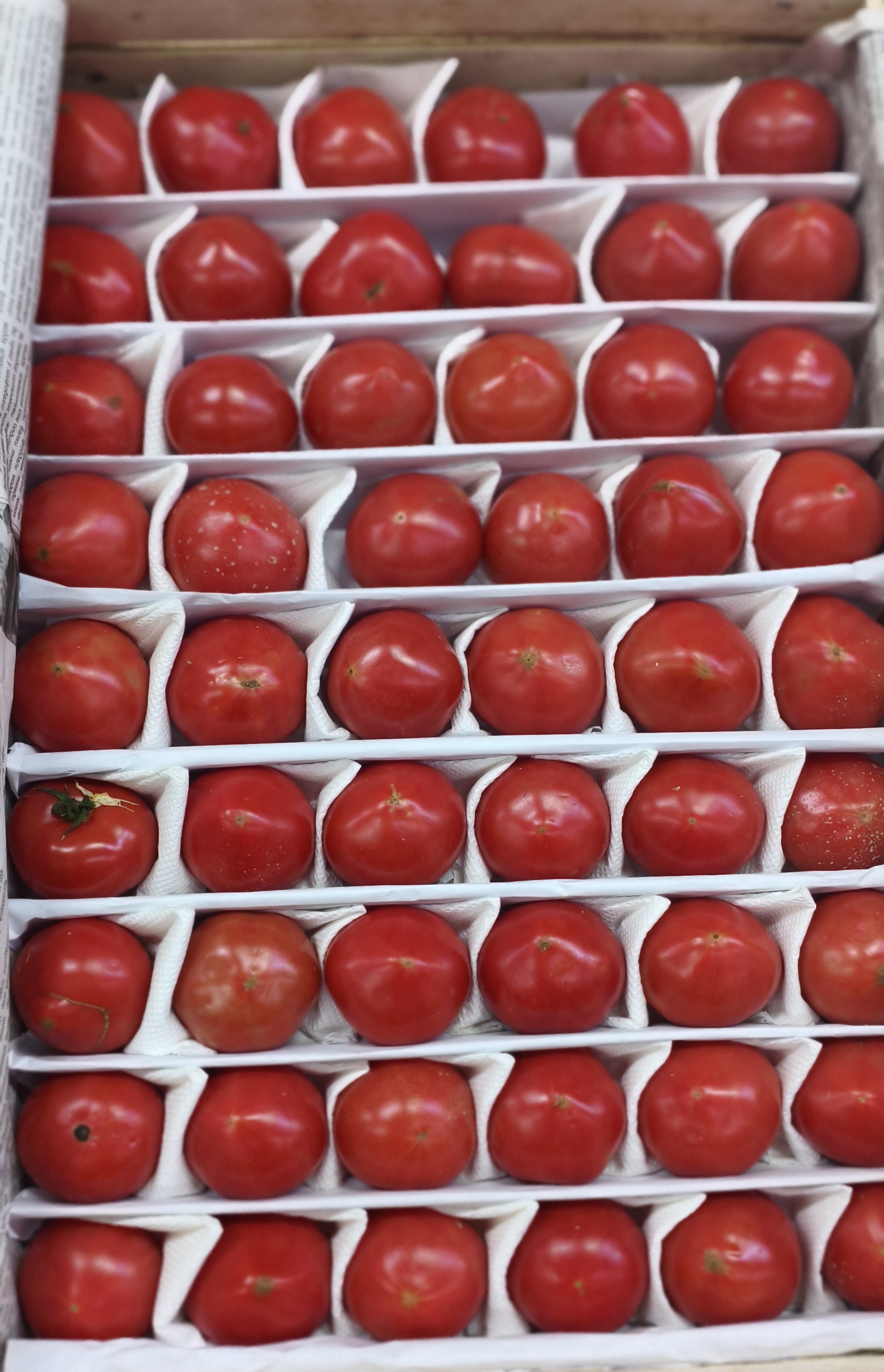 Помидоры бакинские. Цена указана за 1кг