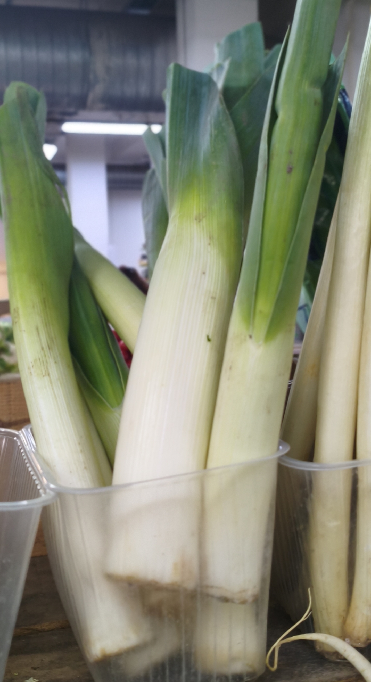 Лук порей. Цена указана за 1кг