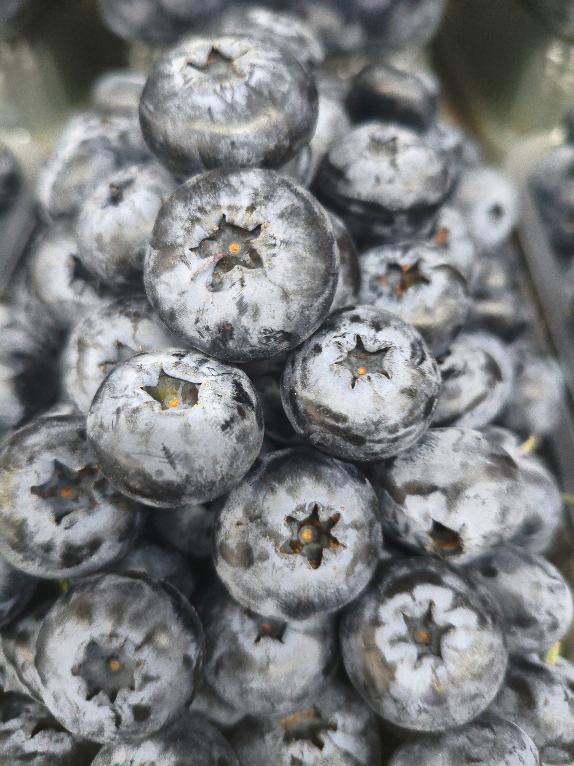 Голубика крупная. 200гр пачка