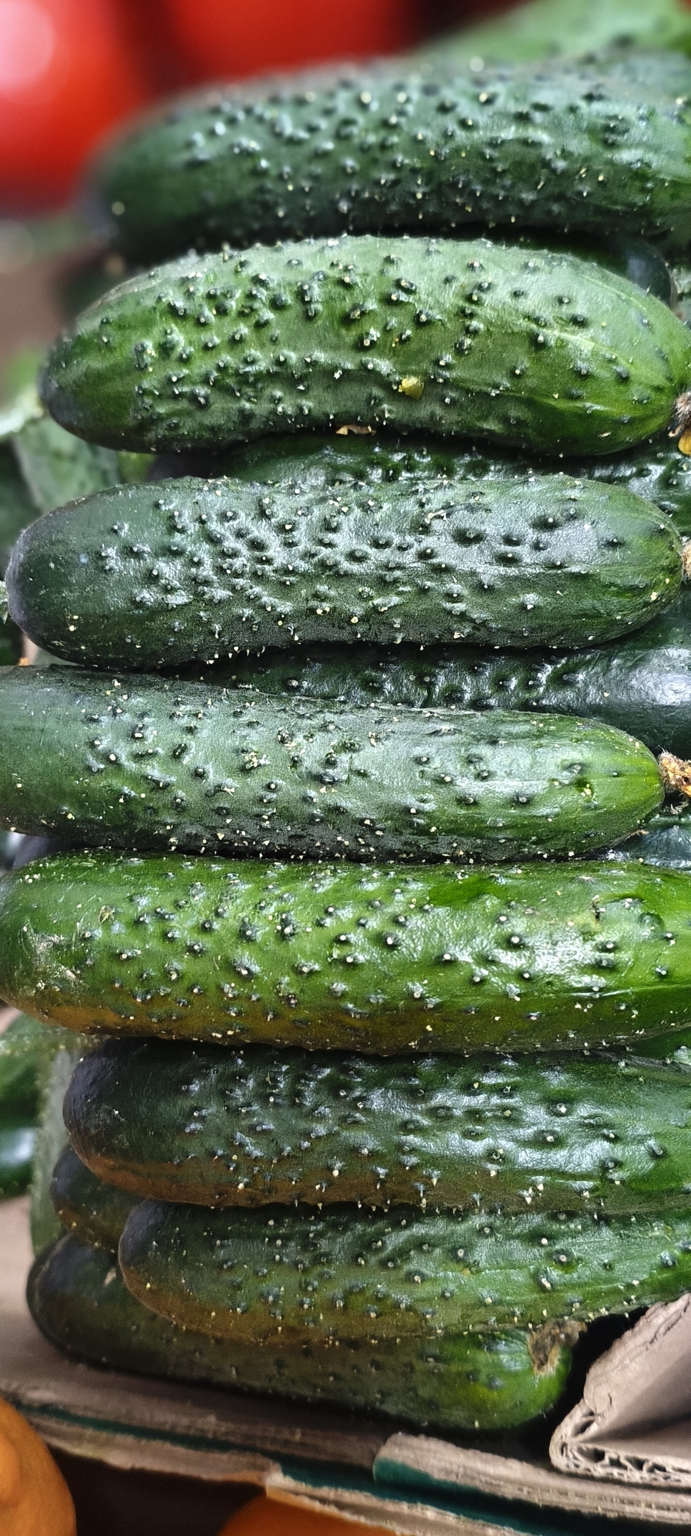 Огурцы Сарыагаш./1кг