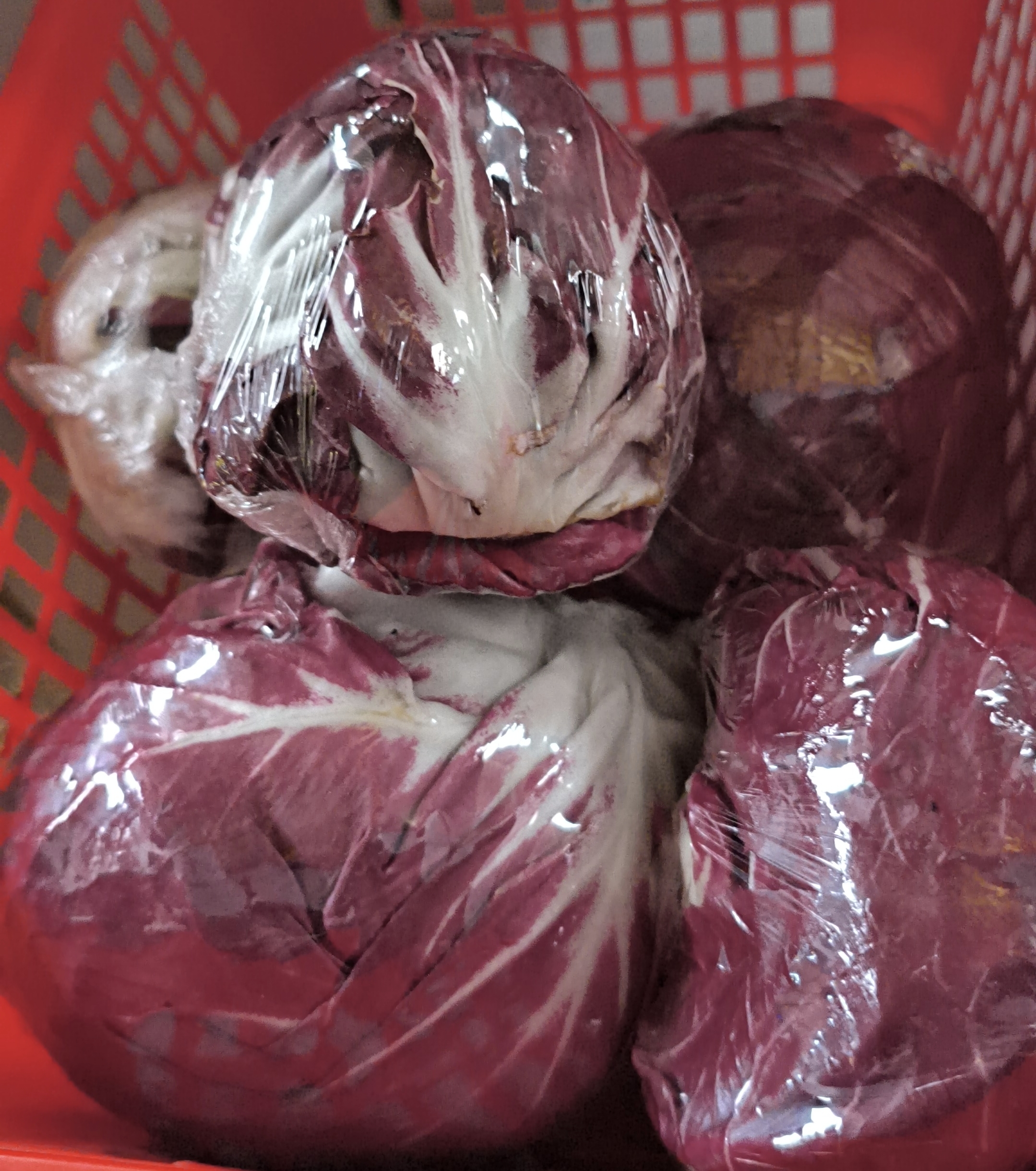 Радича цикорный горький (Голландия)/1кг