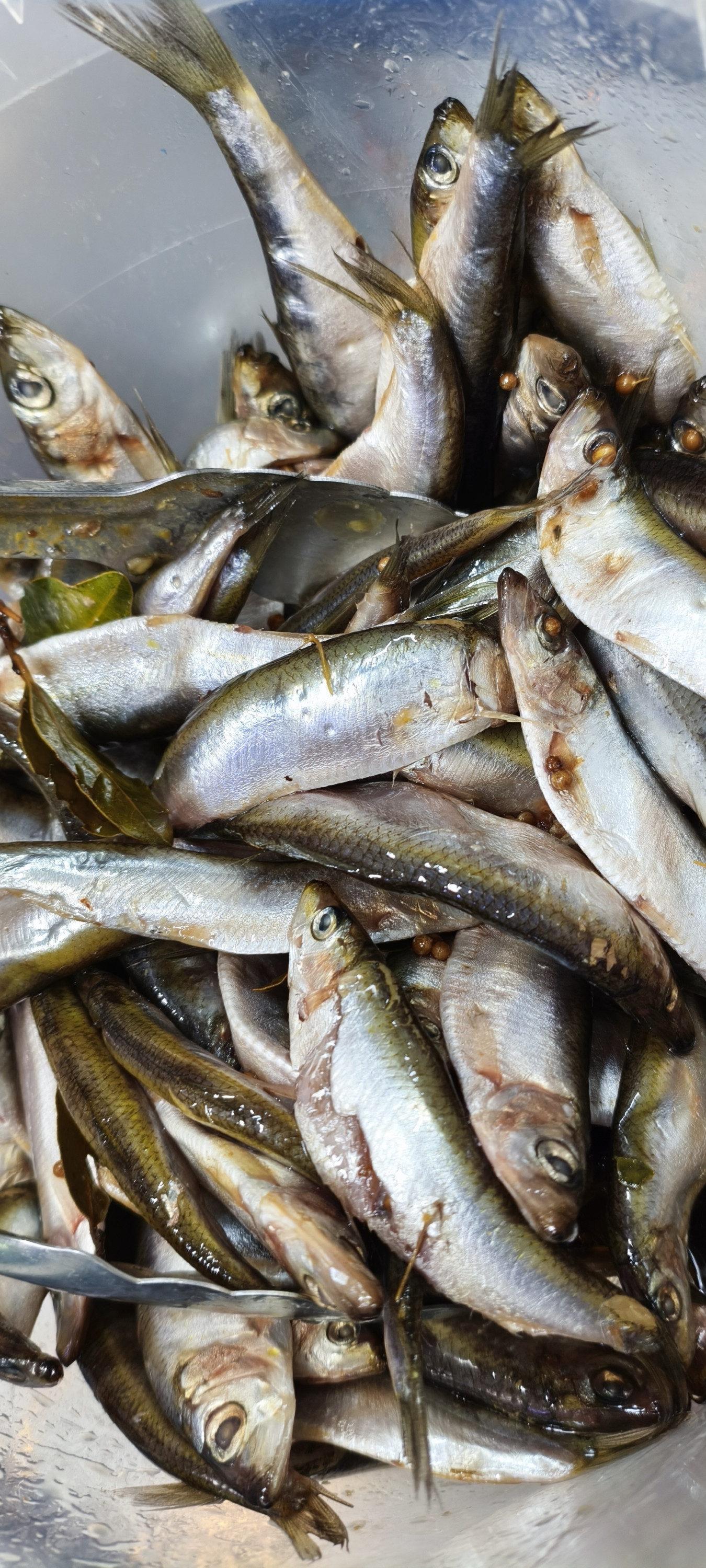 Килька ( пряного посола). Цена указана за 1 кг