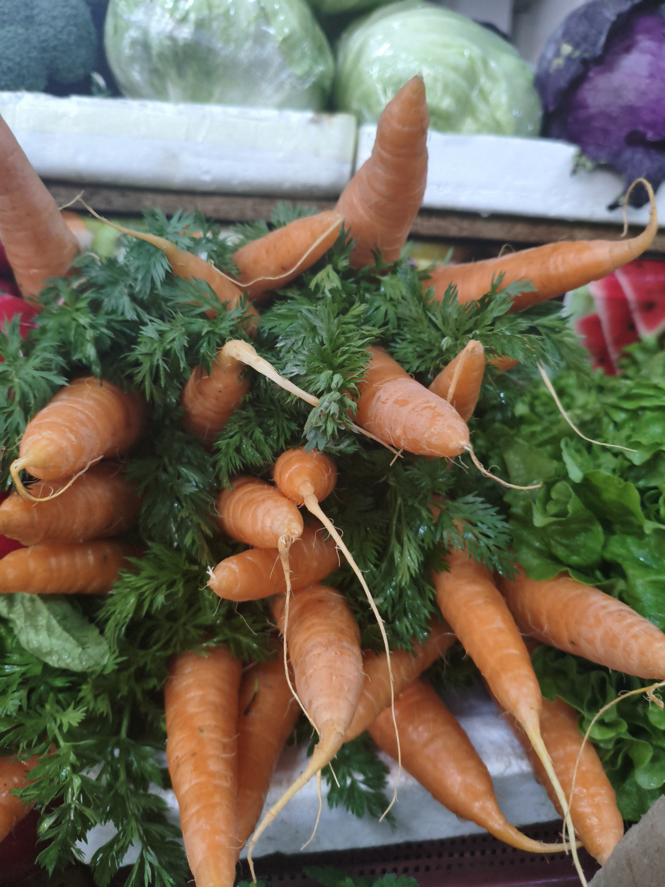 Морковь молодая. Пучок 5 шт