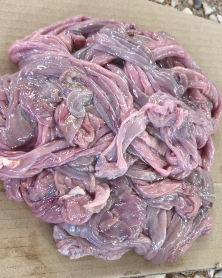 Кишки (свинина,не чищеные). Цена указана за 1 метр