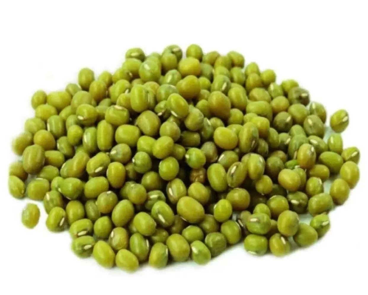 Маш 1кг Казахстан