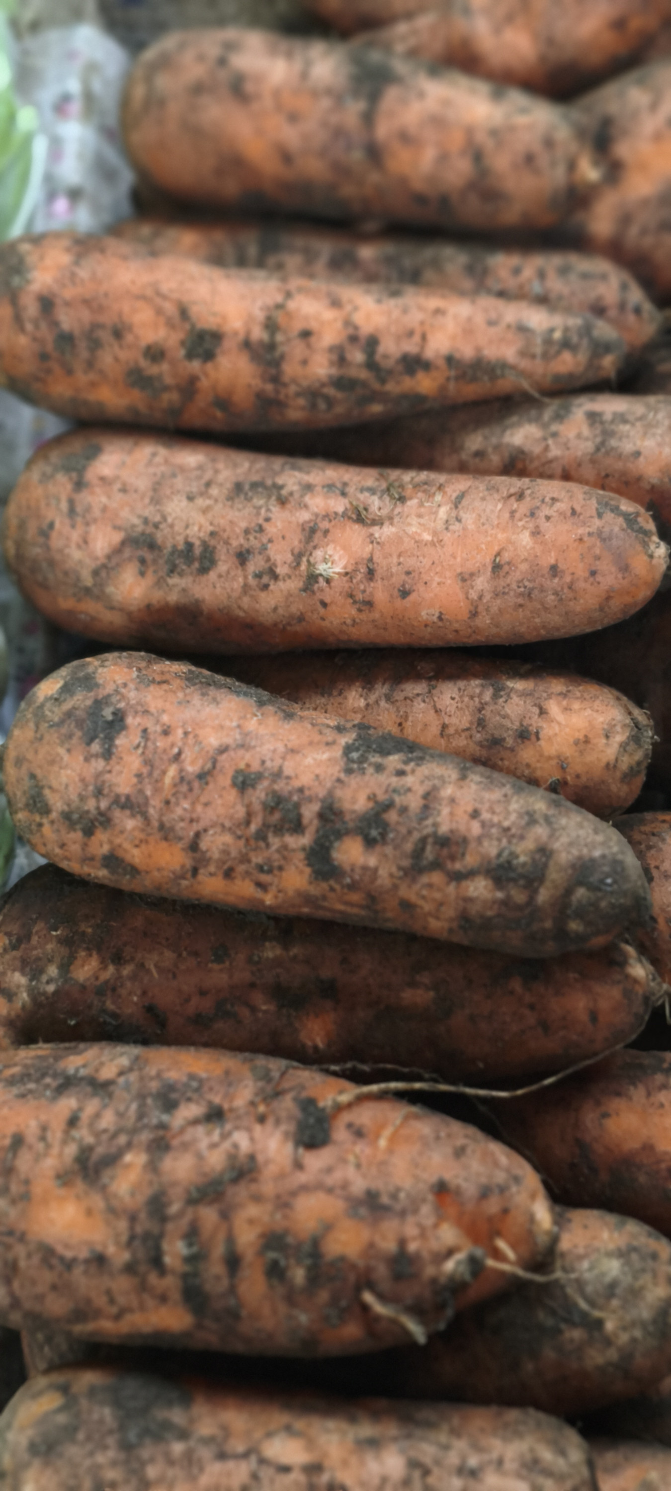 Морковь немытая. Цена за за 1кг