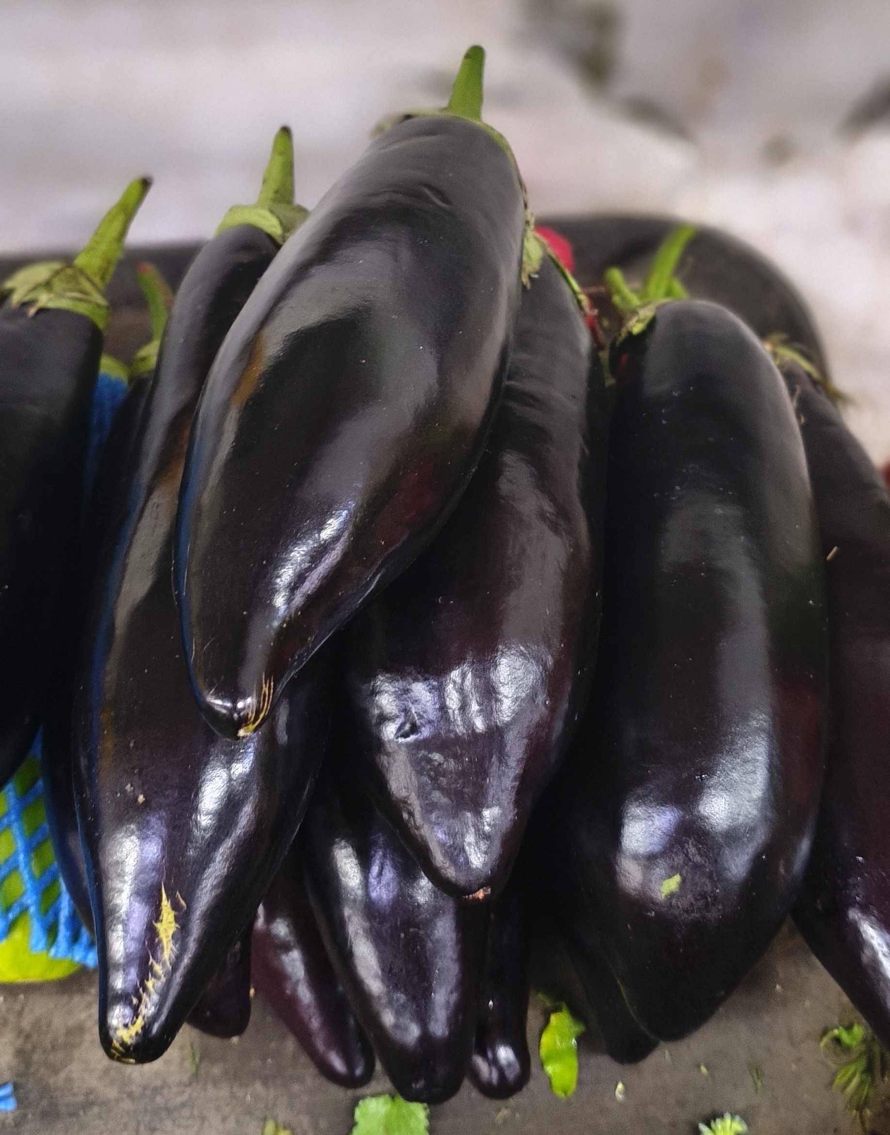 Баклажан. Цена указана за 1кг