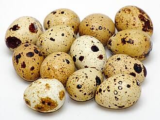 Яйцо перепелиное домашнее. (Упаковка 10шт)