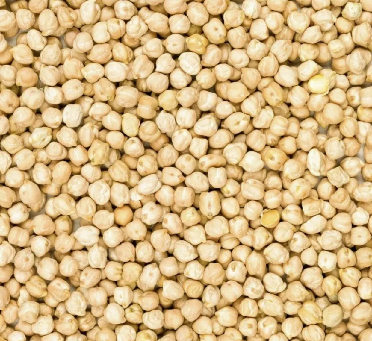 Нут (мелкий) Узбекистан