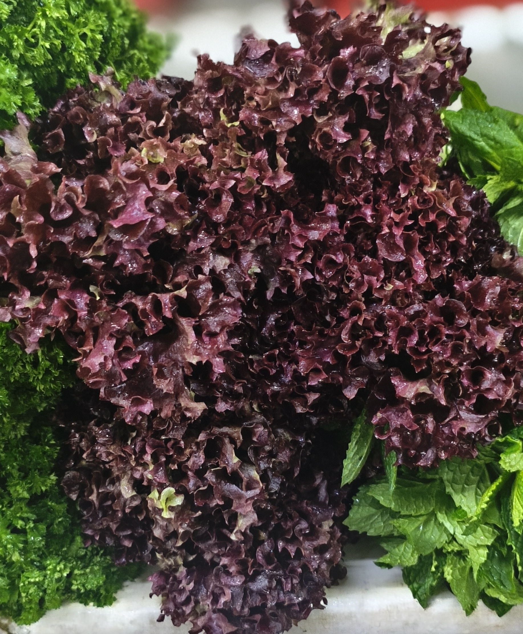 .Лоло салат. 200гр