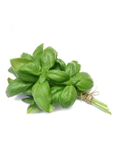 Базилик зелёный. Пачка 30~40гр