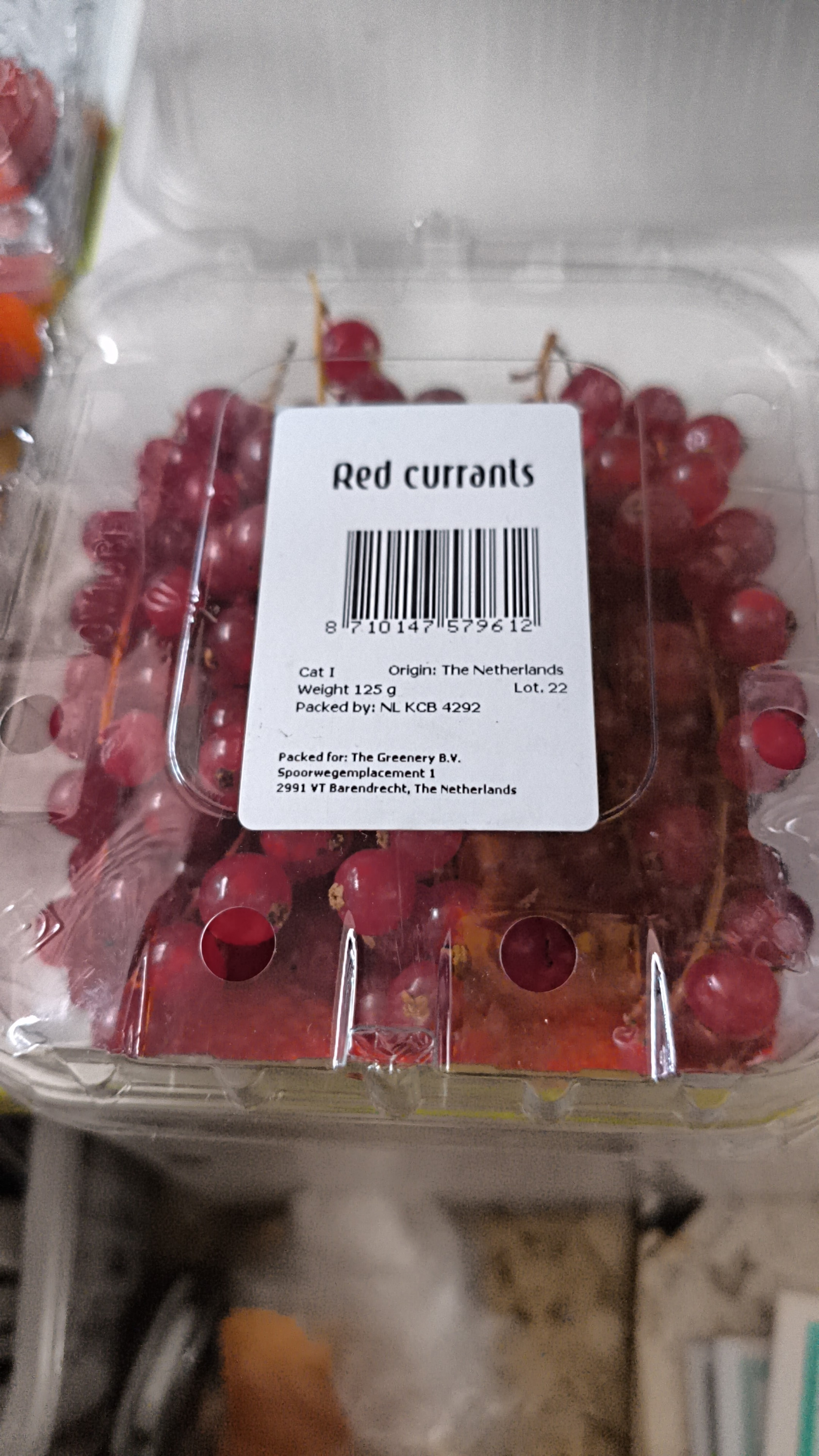 Смородина красная (Голландия)125гр/уп