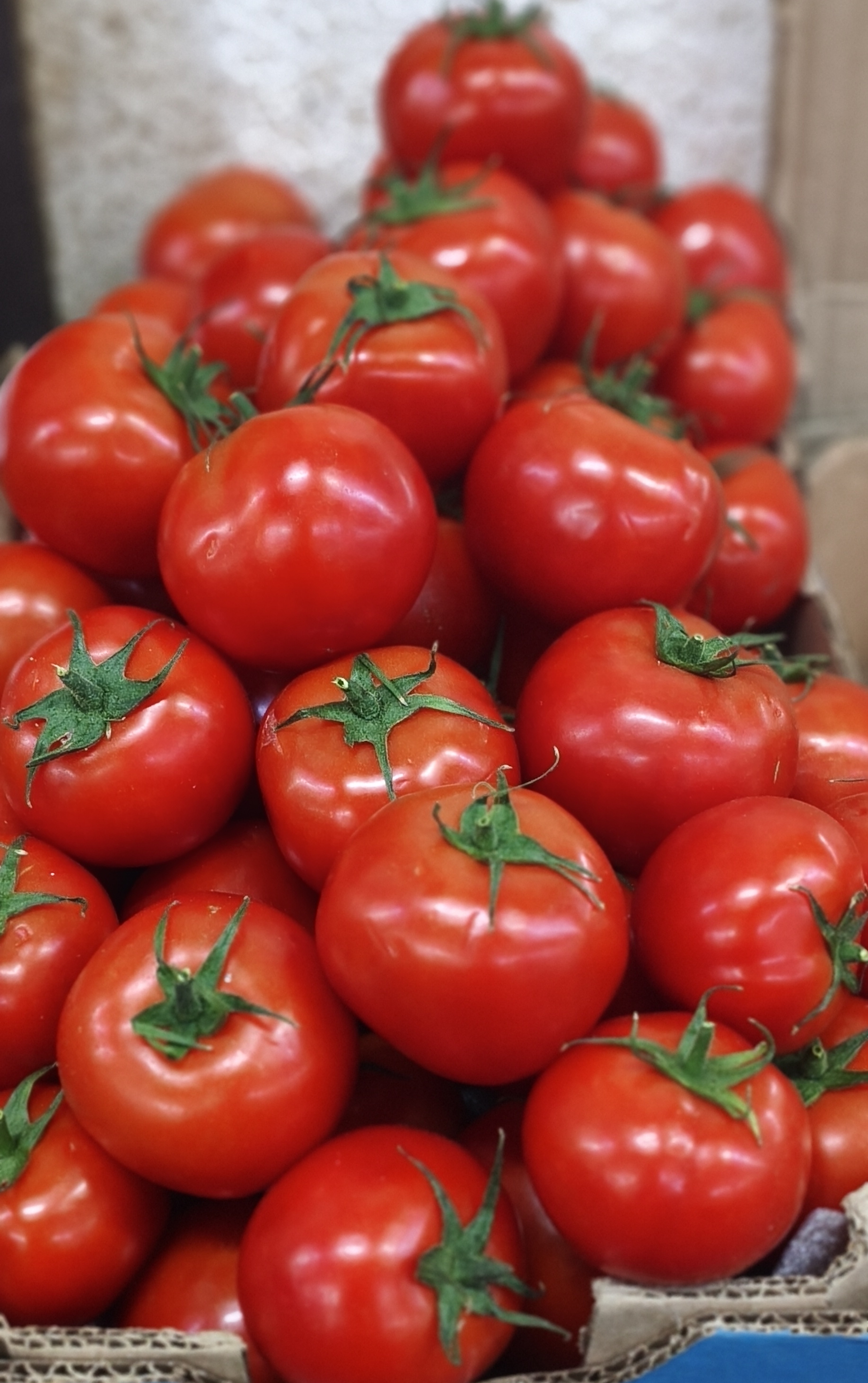 Помидоры красные. Цена указана за 1кг