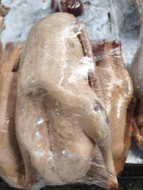 Домашний гусь тушка. Вес~4кг. Цена указана за 1кг