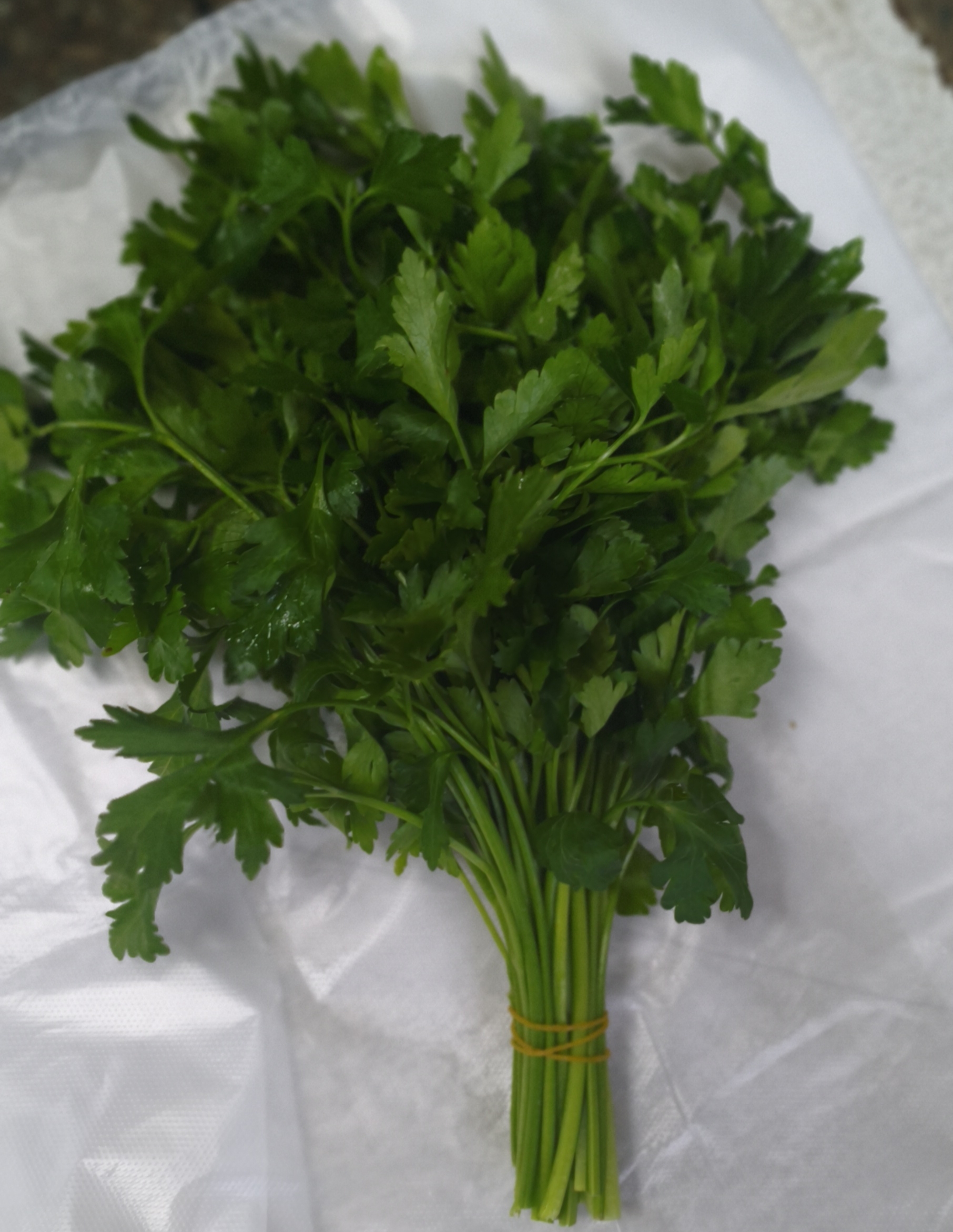 .Петрушка вес. Цена указана за 1кг