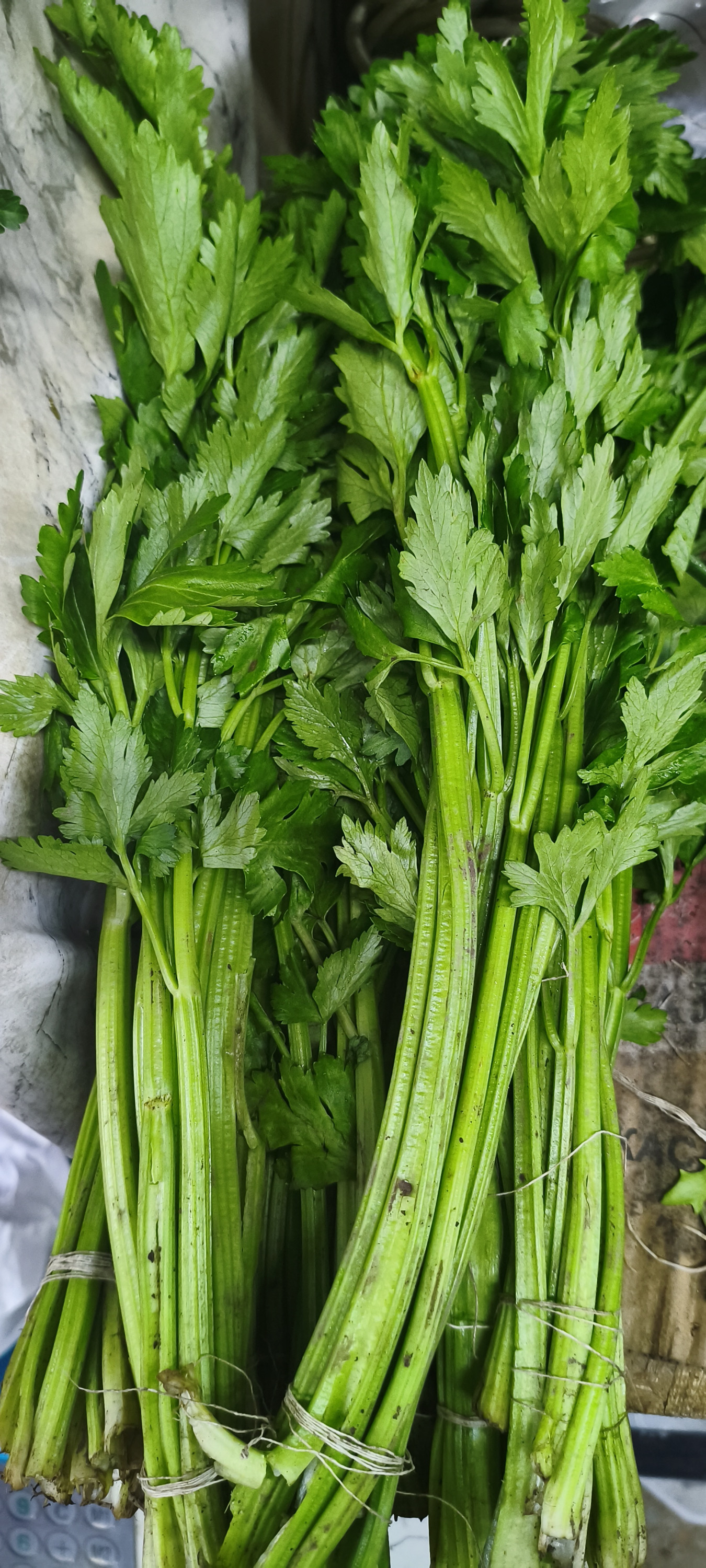 .Сельдерей (пучок)