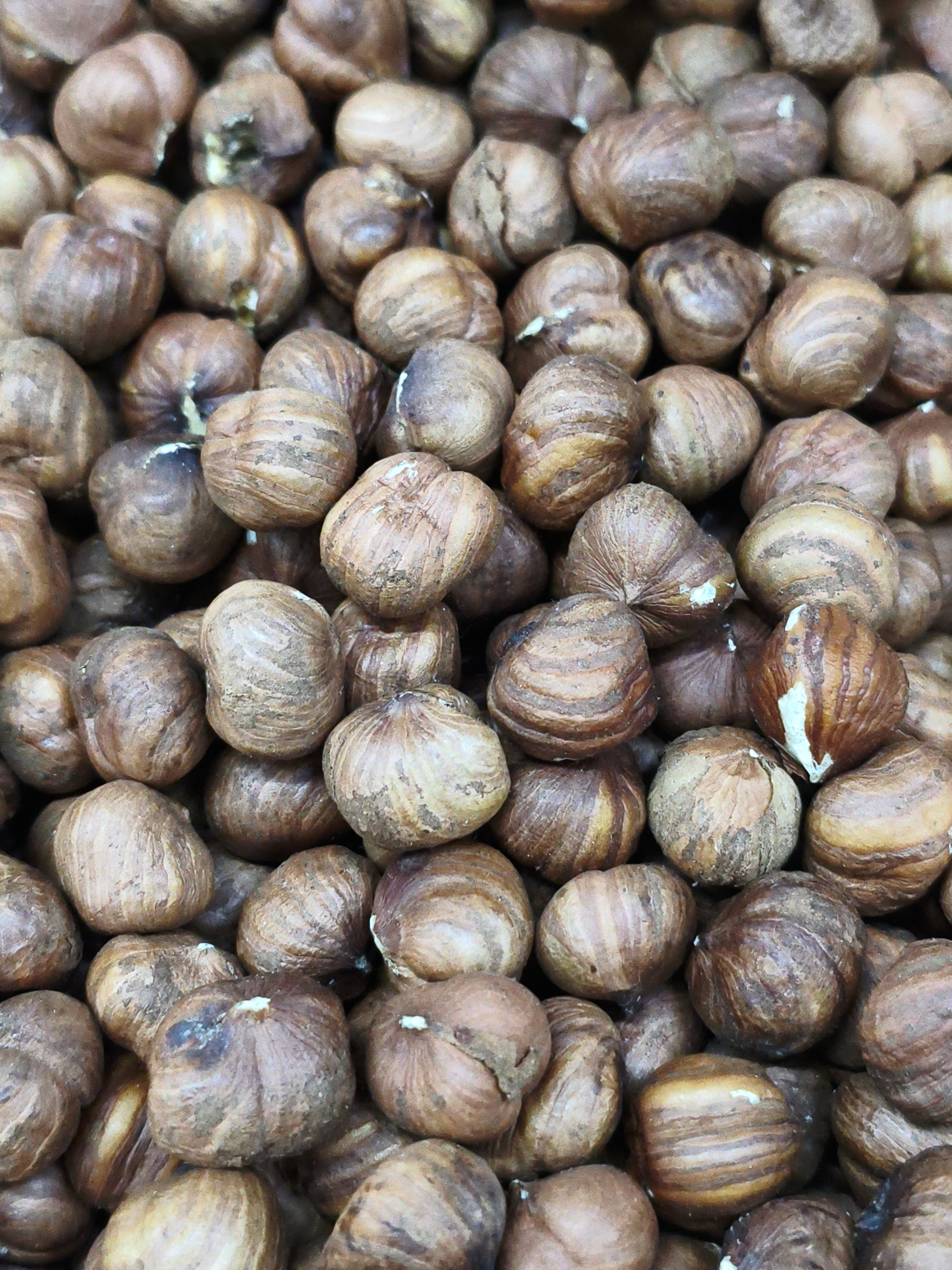 Фундук неочищенный. 200гр