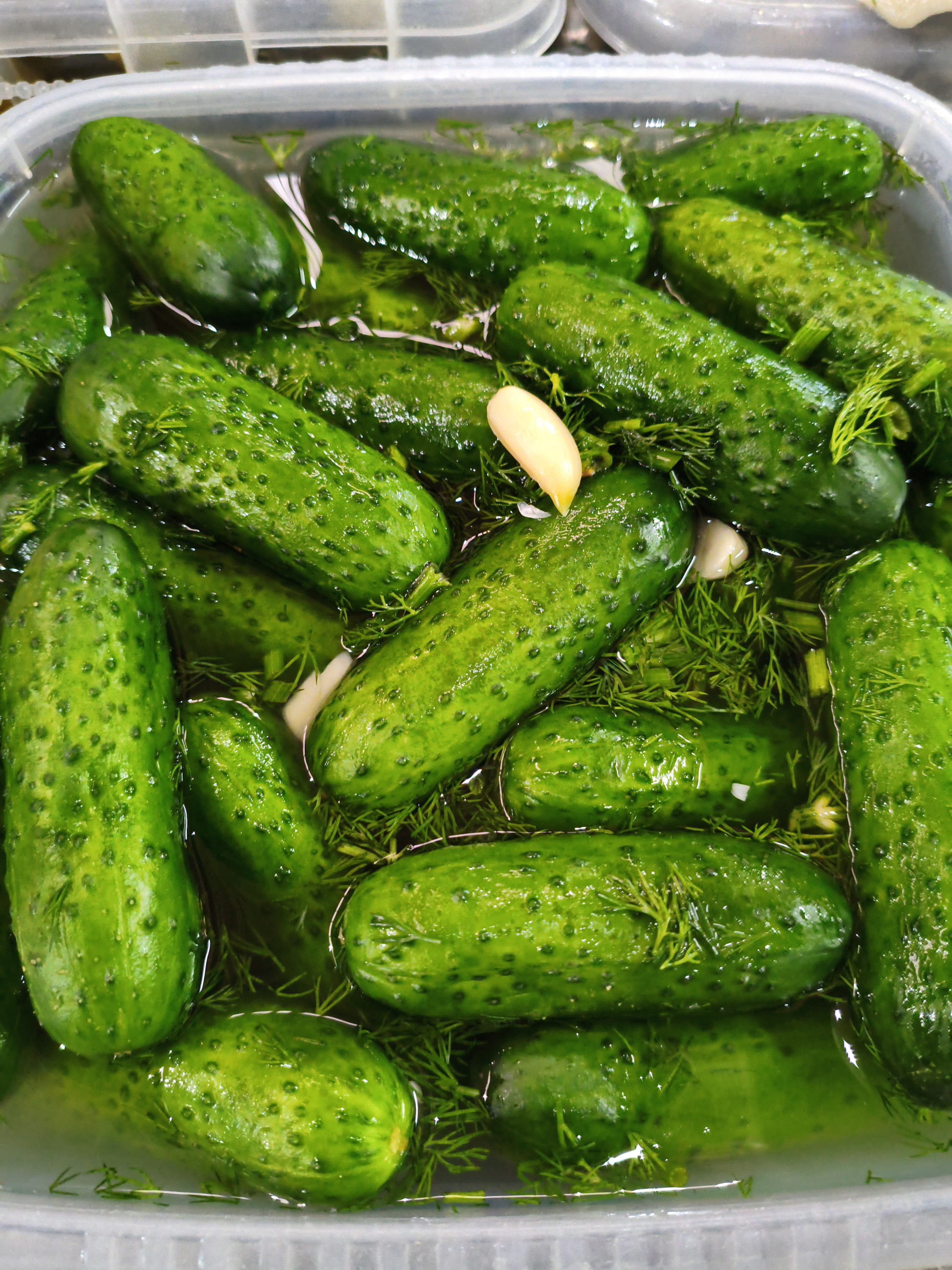 Огурцы молосольные вес