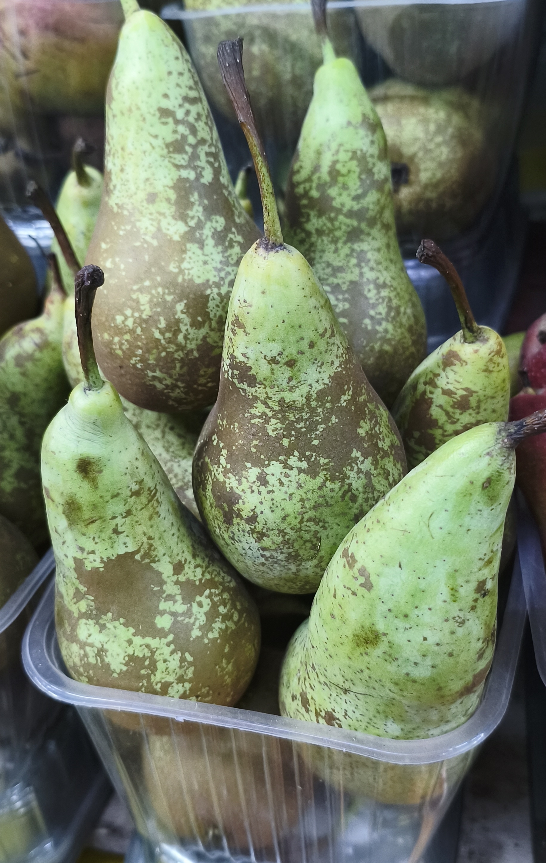 Груша Конференция