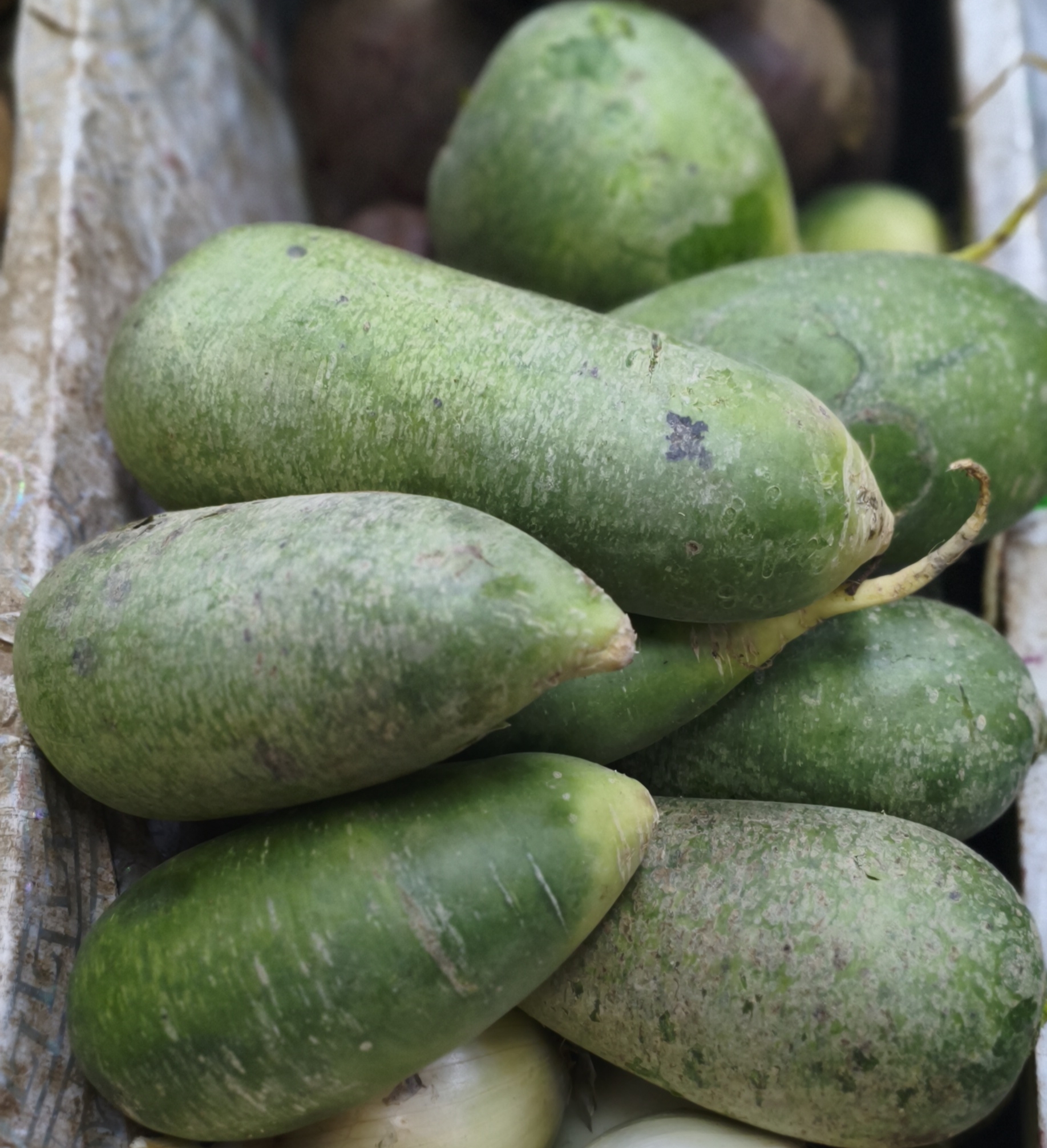 Редька (Ташкент). Цена указана за 1кг