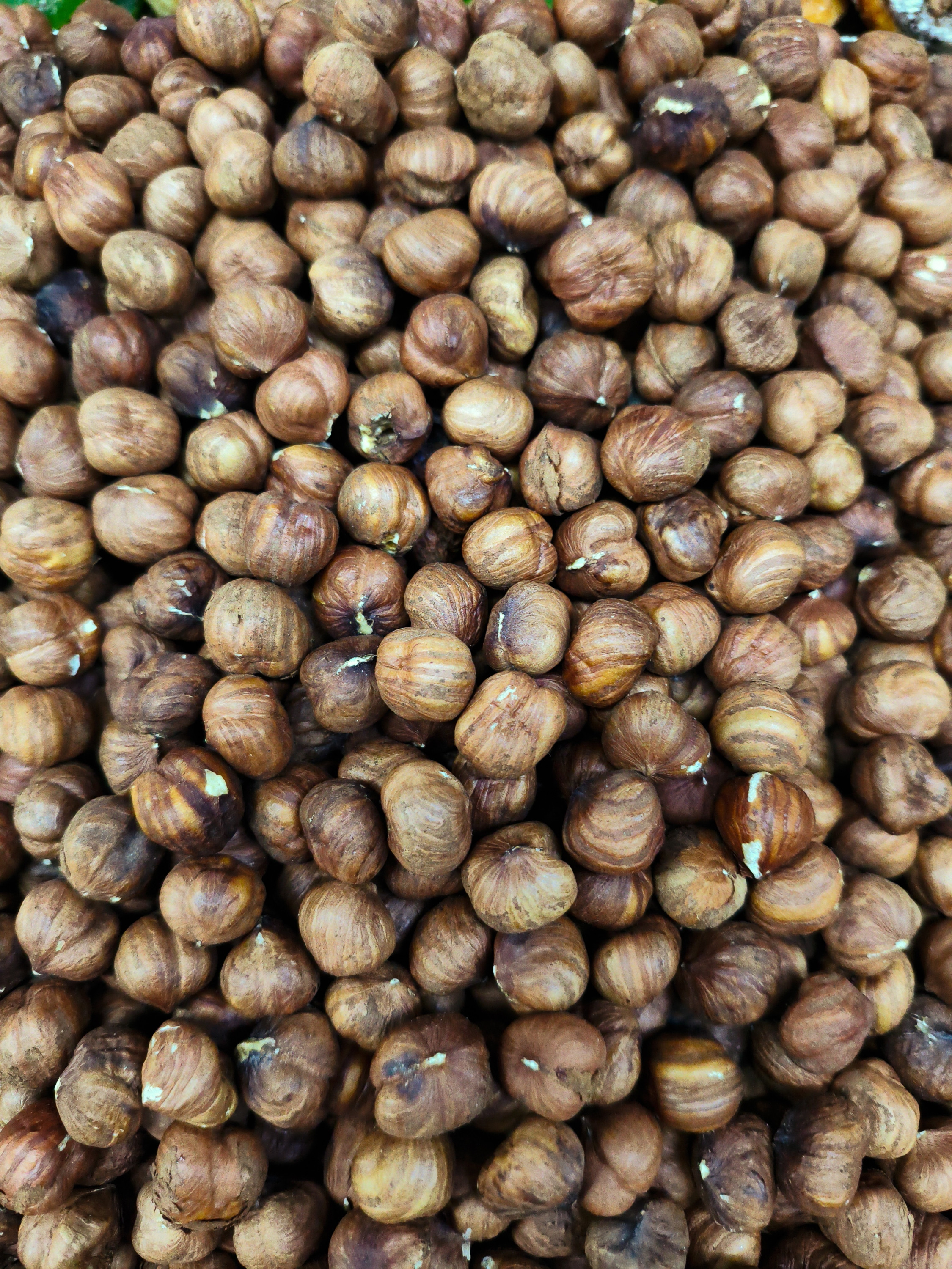 Фундук неочищенный. 200гр