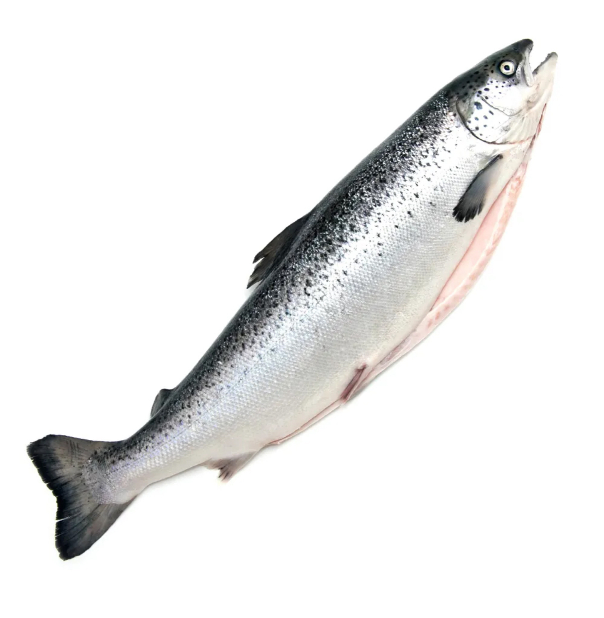 Сёмга с/в целая 6-7 кг