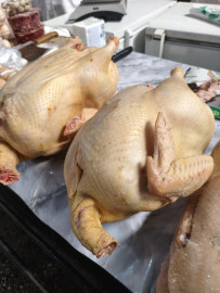 Индейка тушка. Вес от 5кг до 8кг. Цена указана за 1кг