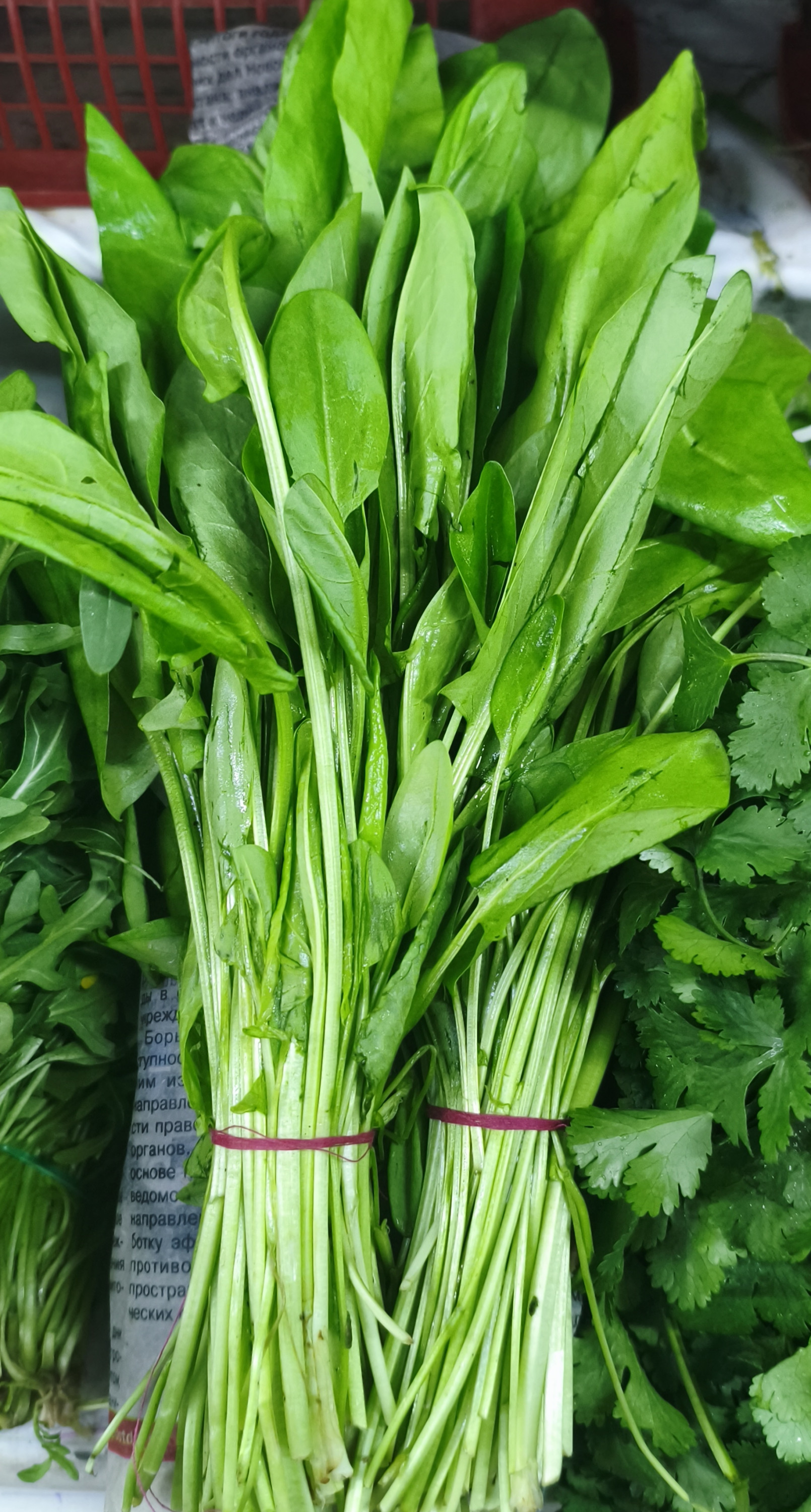 .Щавель 1пучок