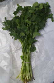 .Кинза(пучок)