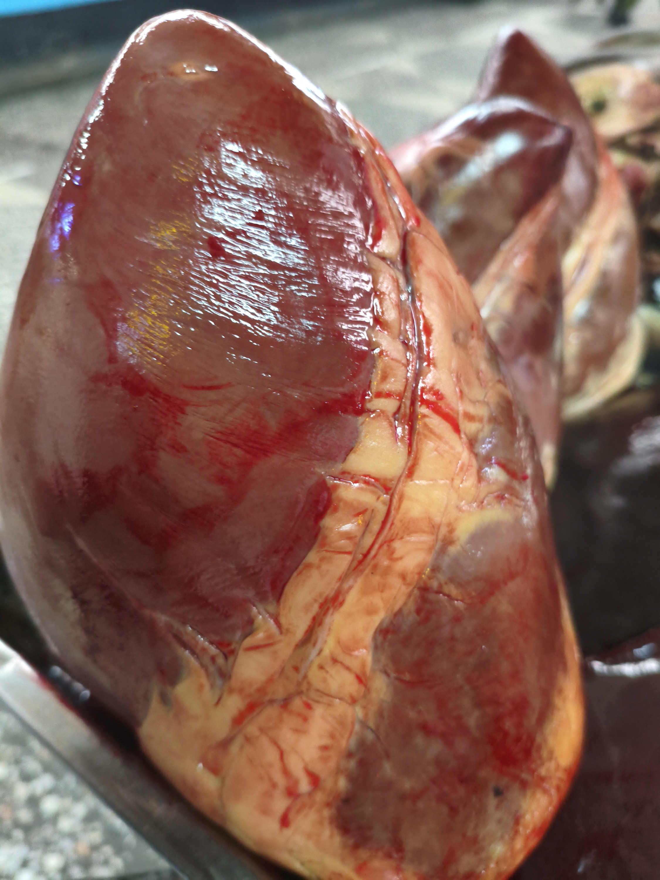 Сердце конина. вес