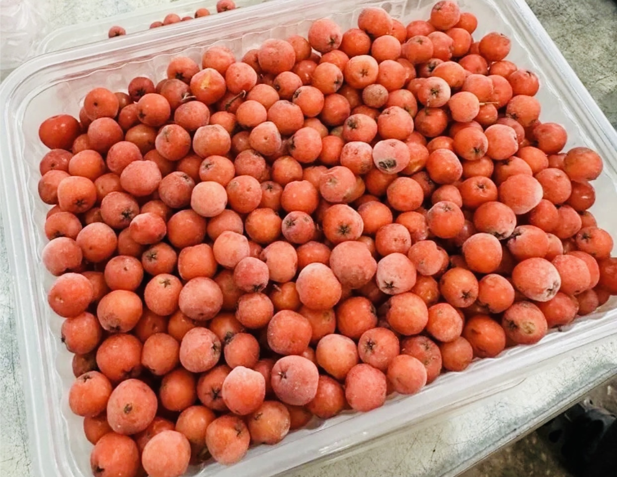 Замороженная Рябина пачка 300гр