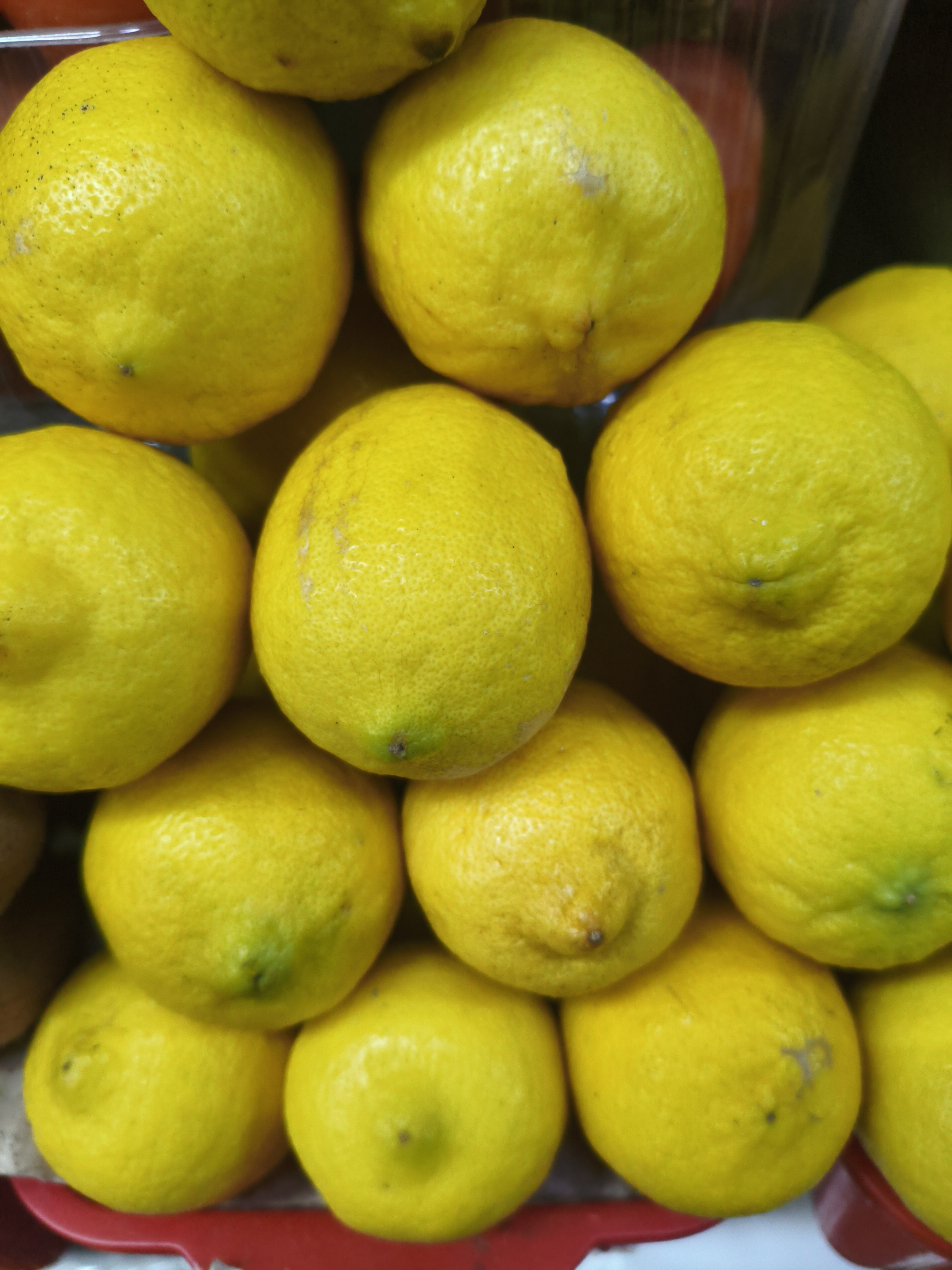 Лимон Марокко. шт