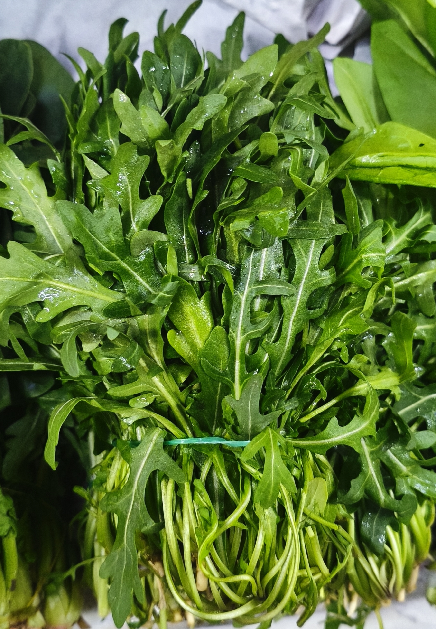 .Руккола. цена указана. 200гр