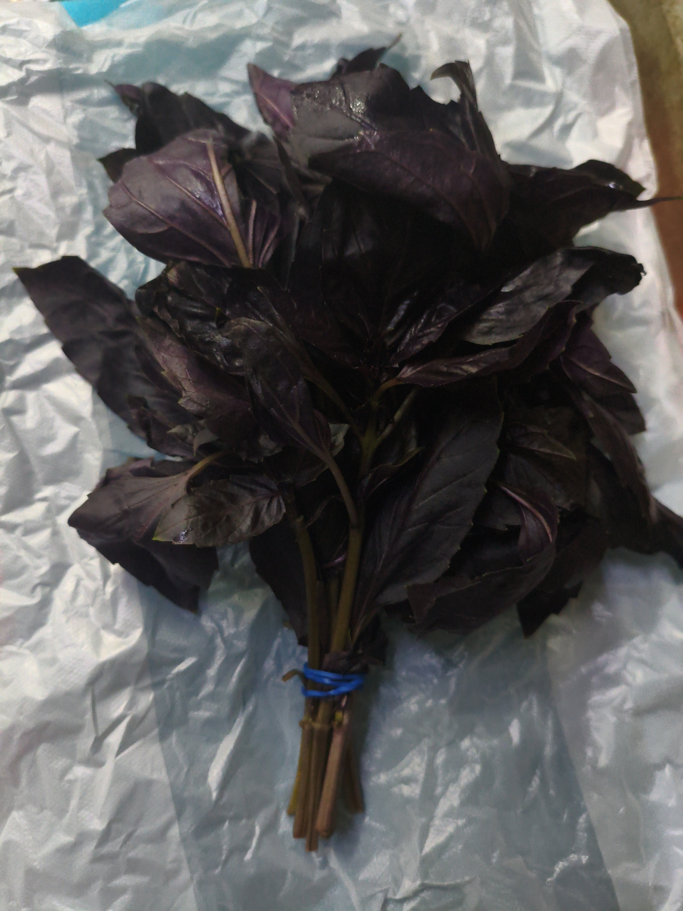 Базилик красный. Пачка (30~40)