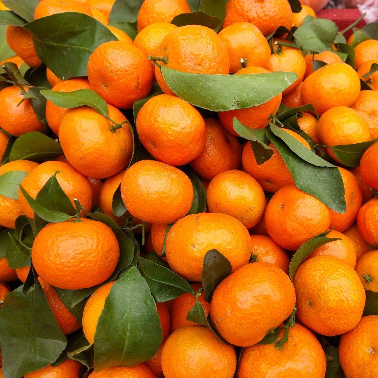 Мандарины Китай